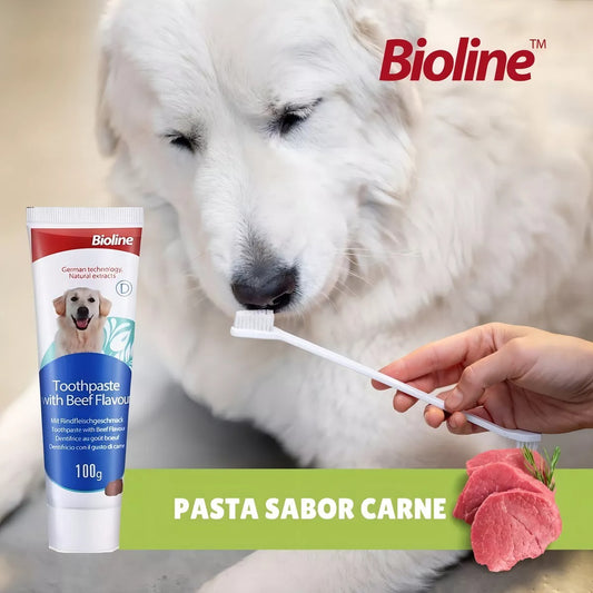 Set de cuidado Dental Bioline para Perro